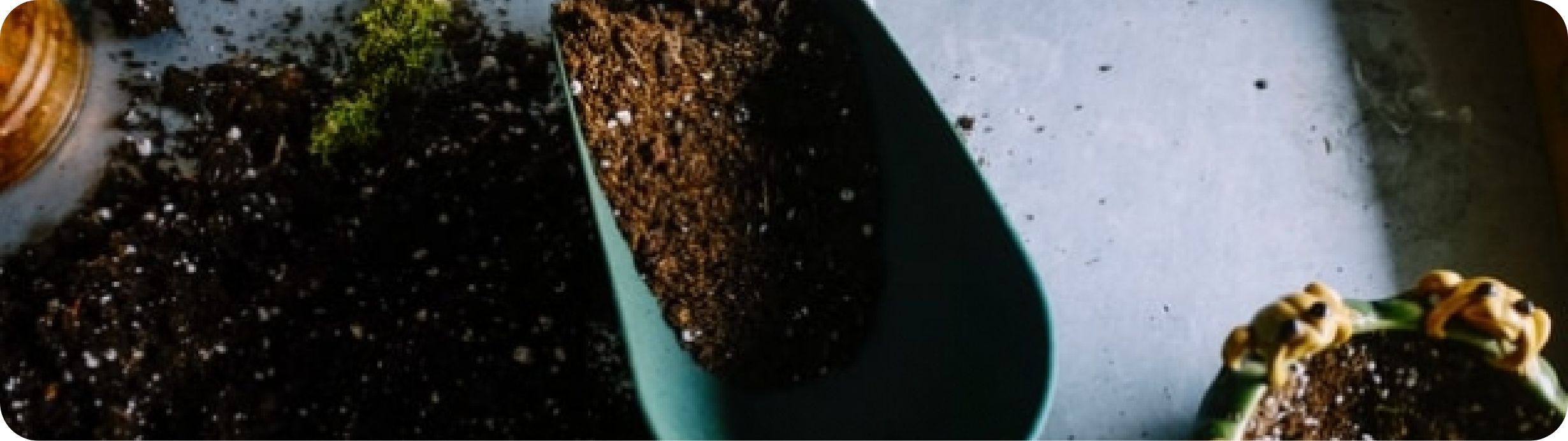 Wintertime Soil Maintenance
